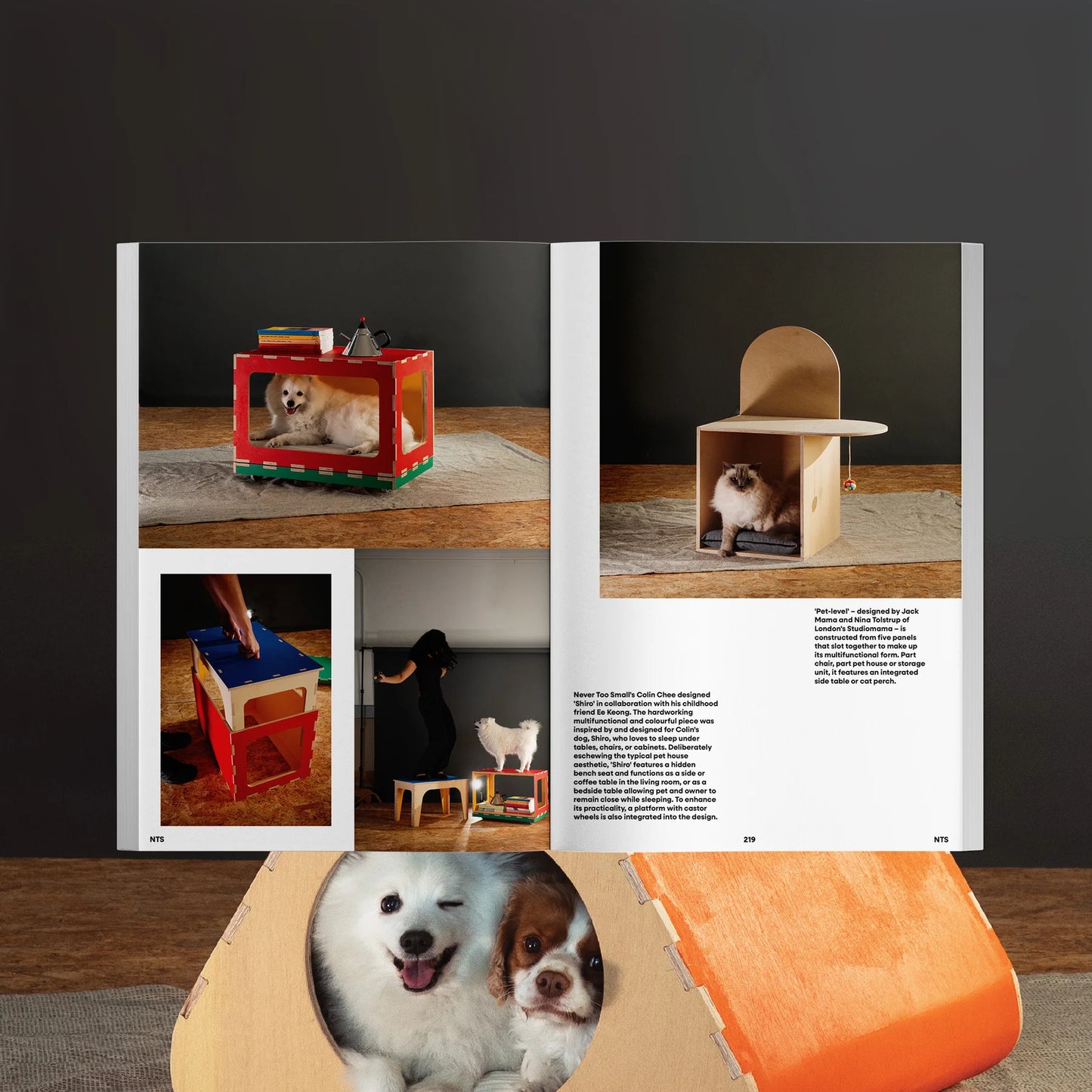 Jamais trop petit numéro 01 du magazine