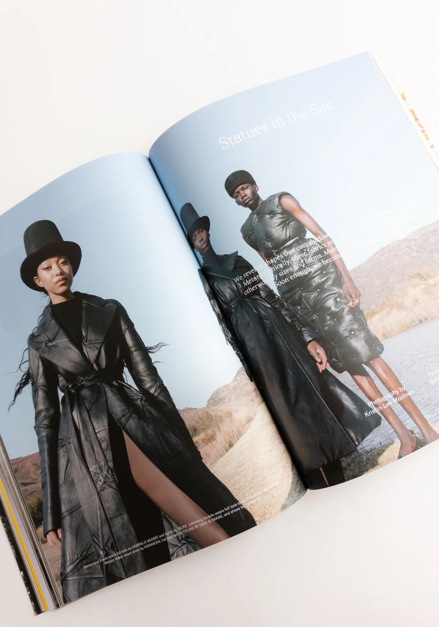 Estilo familiar n.° 3: LO EXTREMO ES TODO EL DÍA