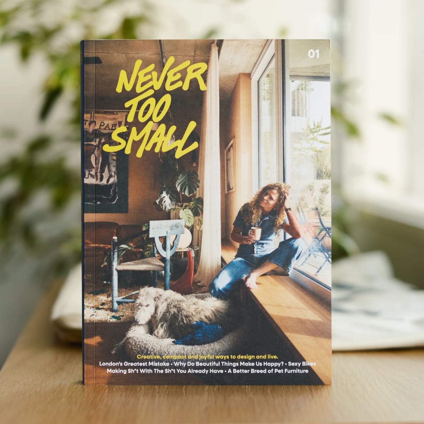 Jamais trop petit numéro 01 du magazine