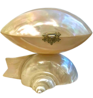 Coffret à bijoux/plateau à bagues Nautilus en nacre