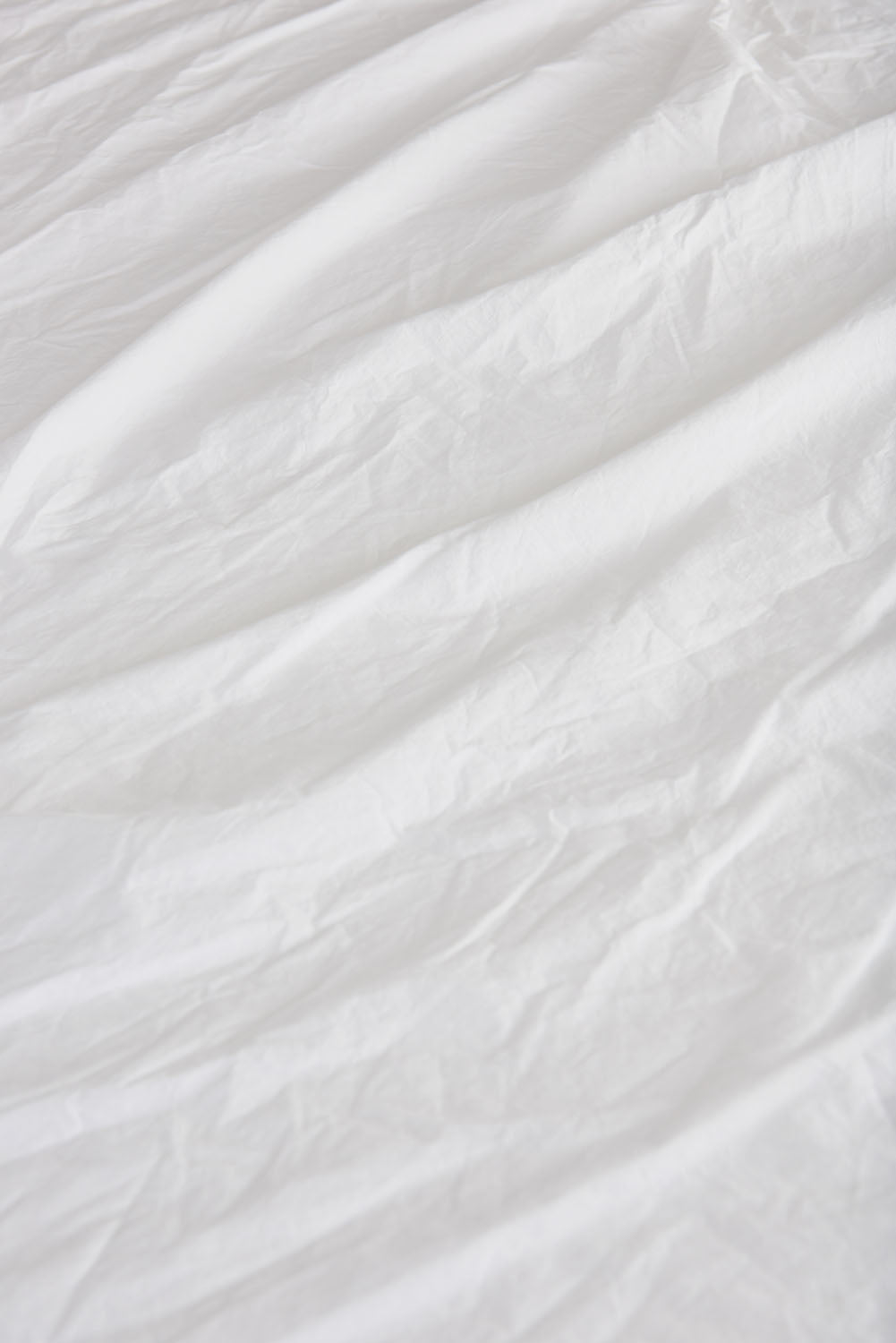 Relaxed Percale Sham (Pair)