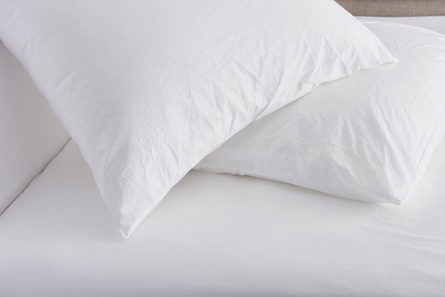 Relaxed Percale Sham (Pair)